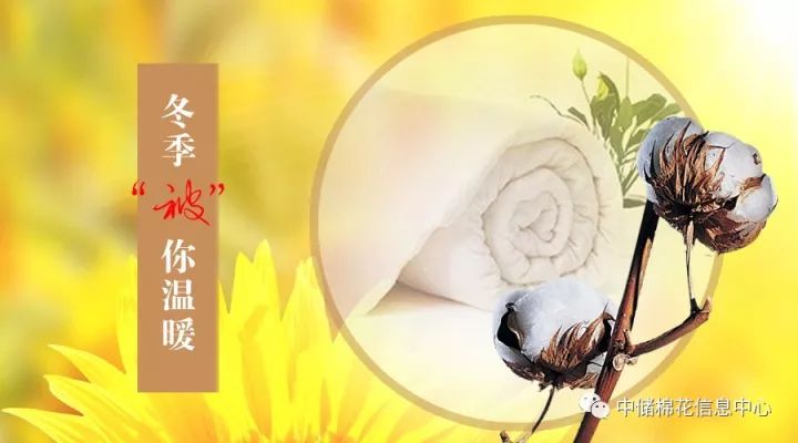 现货基本面弱势期货触顶回落,周一期货开盘后行情走势