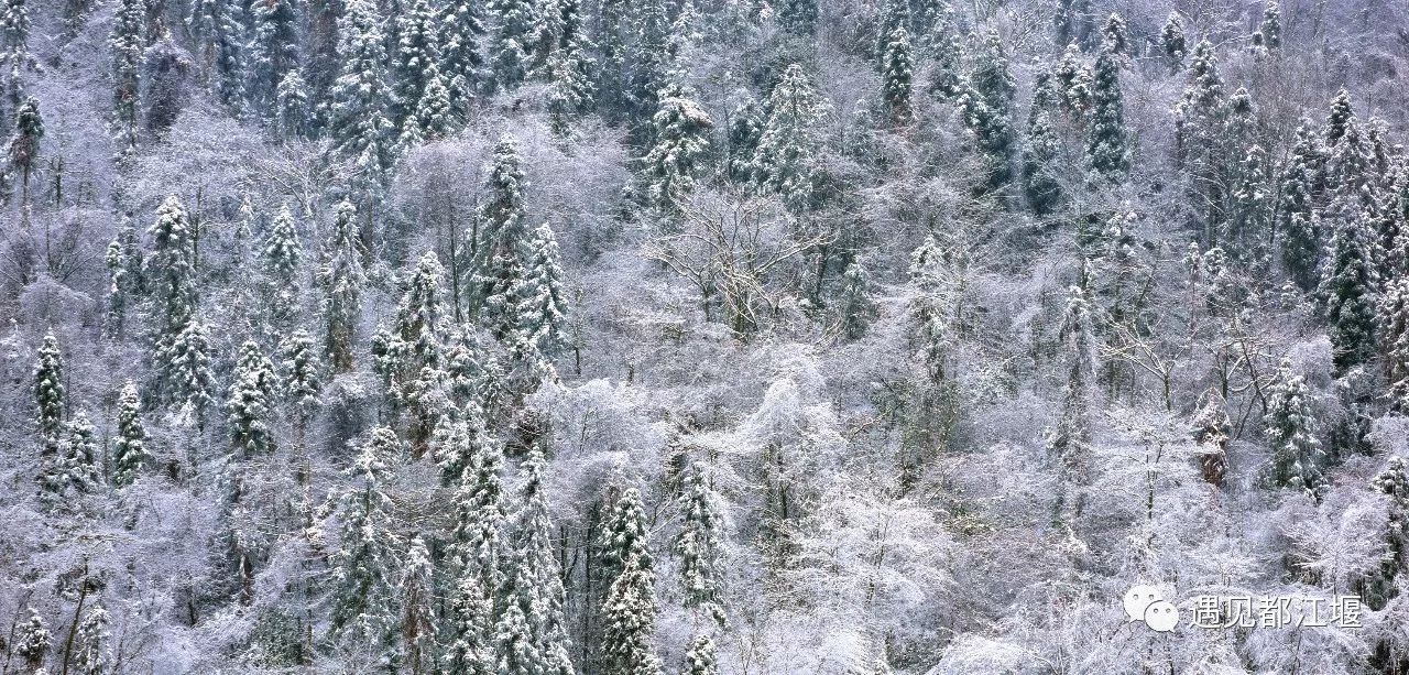 南方也有雪景,南方也有冰雪世界