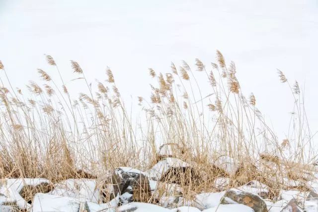 银川冬季风景优美的地方,银川冬天拍照好看的地方