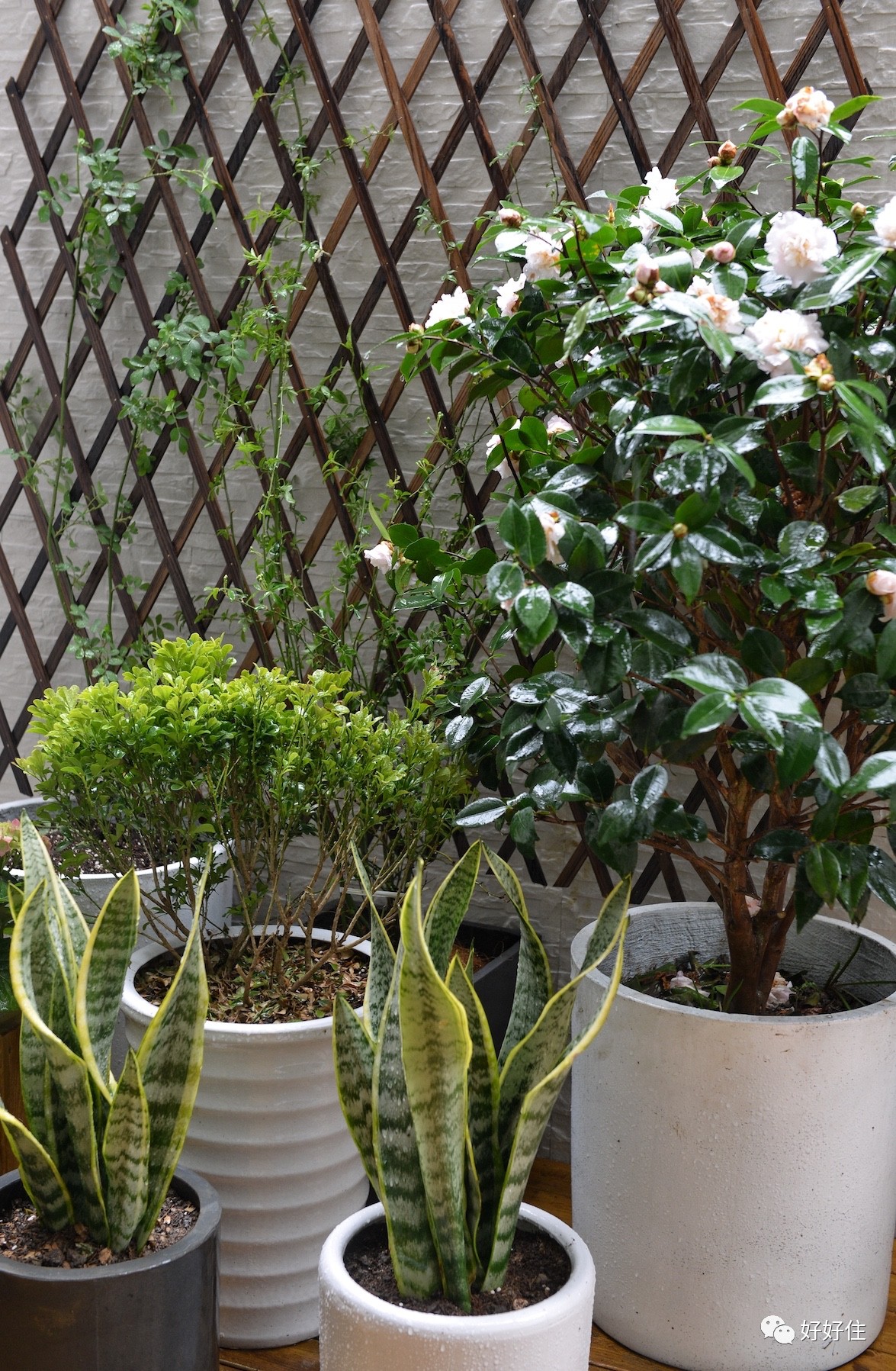 瞬间被种草这台吸尘器值得推荐,被种草的101件好物