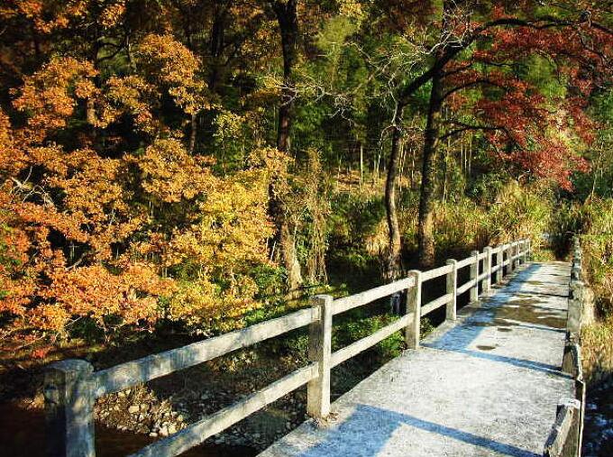 冬季深圳短途自驾一日游,深圳周边游玩好城市
