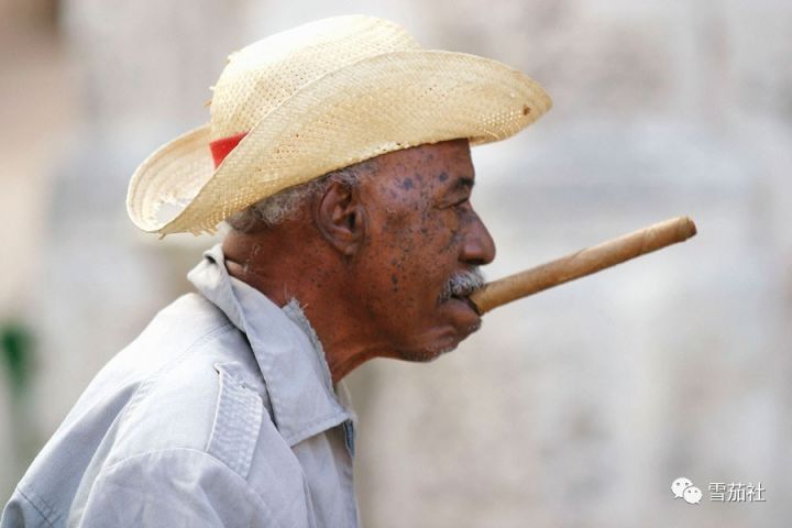 抽雪茄如何避免头晕恶心,抽雪茄晕吐怎么解决