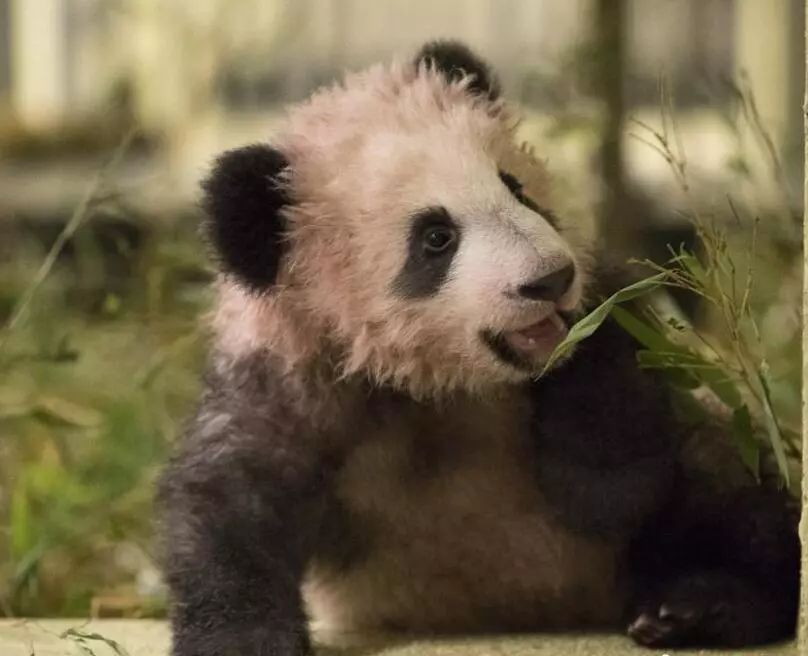 早fun｜新年伊始乙型流感成主角请收好这剂中药方！