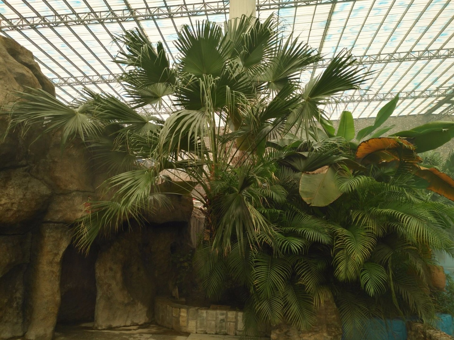 定州中山百姓园温泉度假村团购,定州中山百姓温泉度假村2021