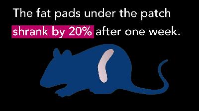 看文献的优点和缺点,看文献的话有哪些好处啊