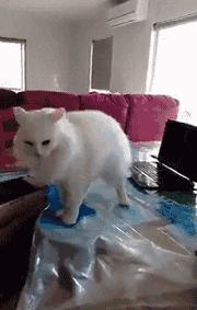 囧吐槽：看自己女朋友*裤内**怎么了