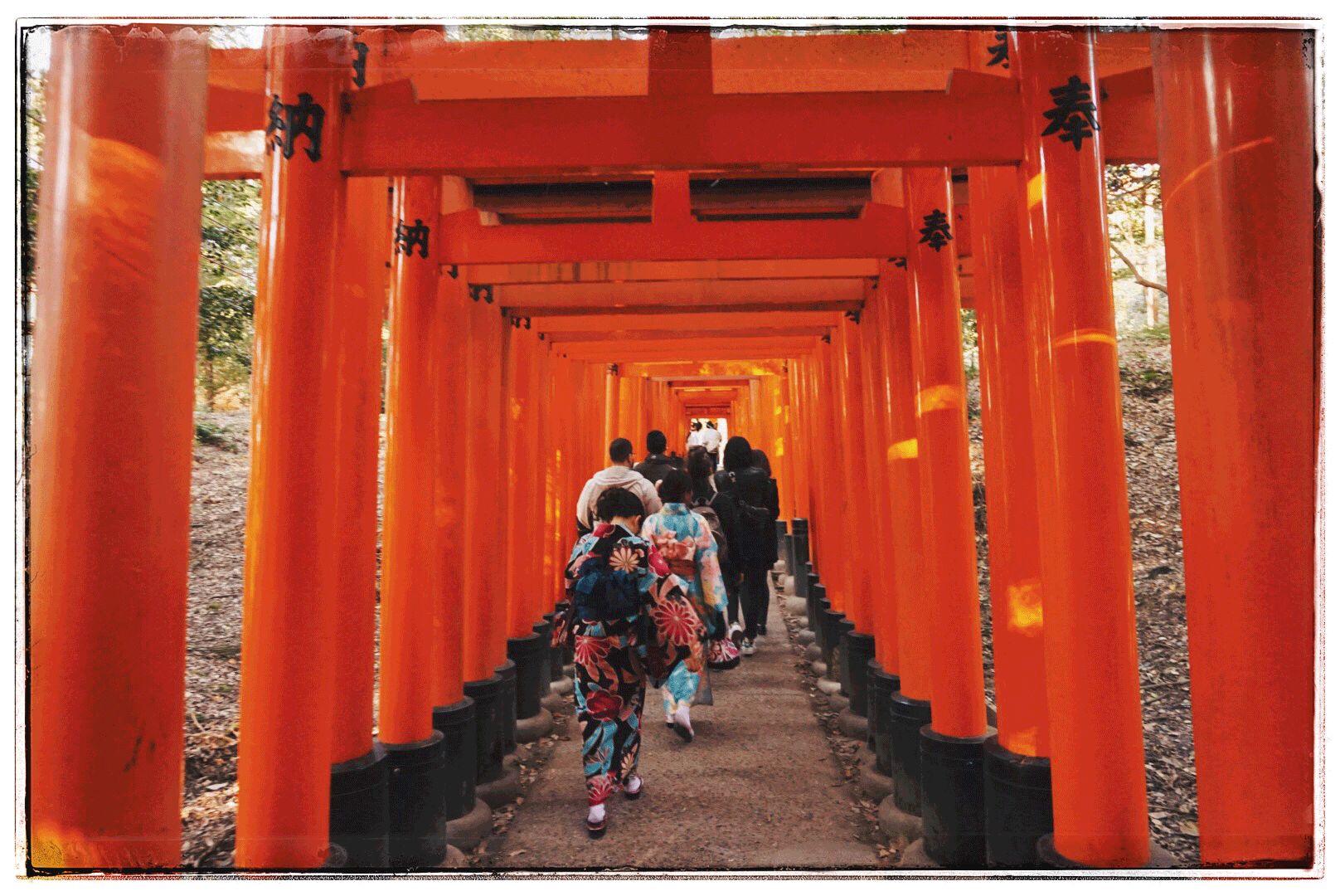 旅行日记好看吗,旅行记日本