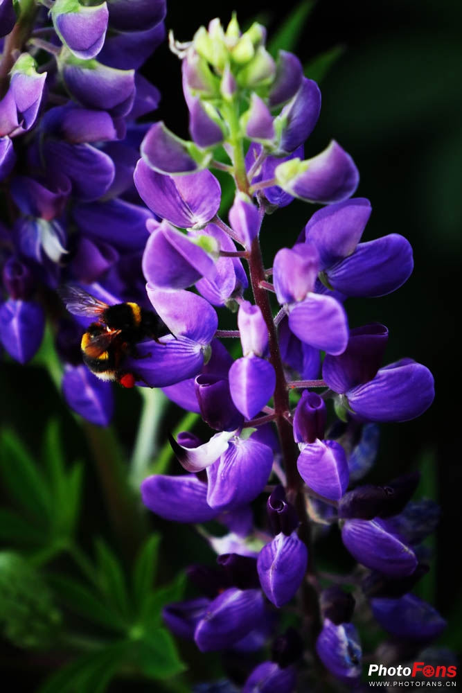 eos相机6d,微单相机eosm6ii