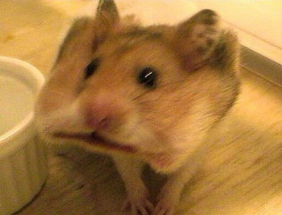 囧吐槽：看自己女朋友*裤内**怎么了