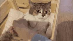 囧吐槽：看自己女朋友*裤内**怎么了