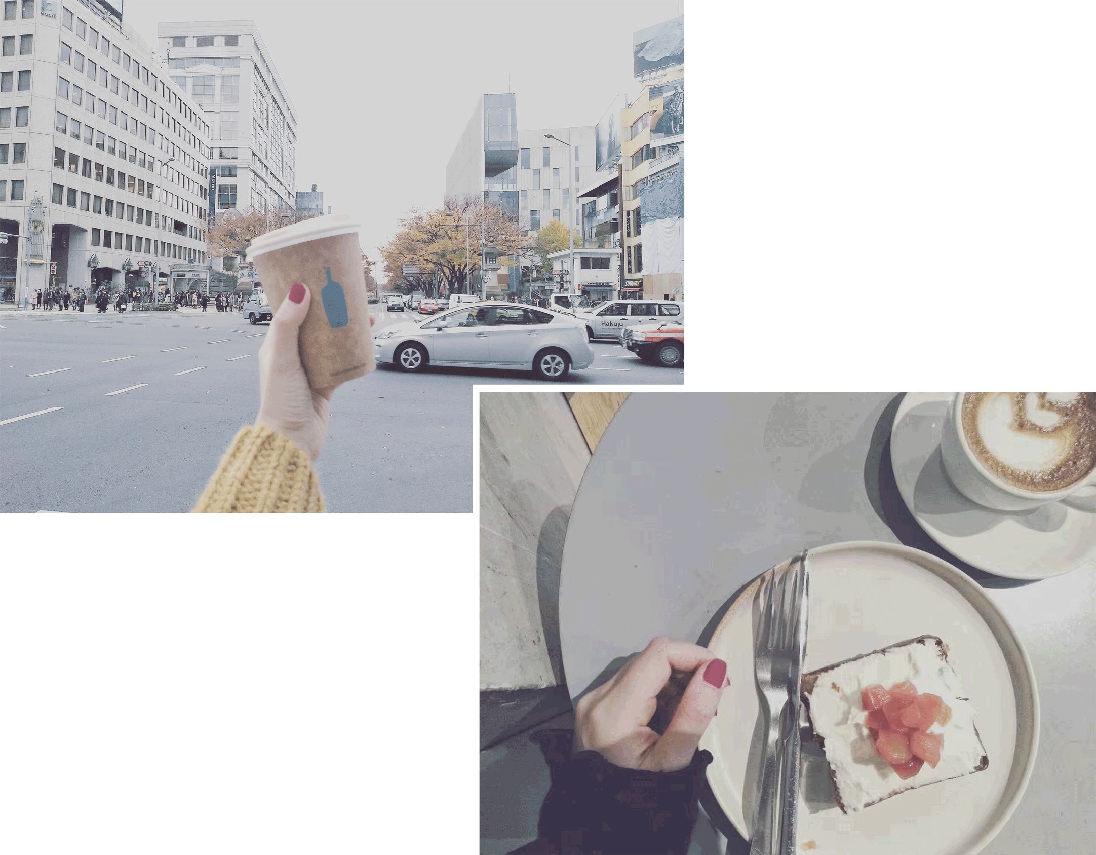 旅行日记好看吗,旅行记日本