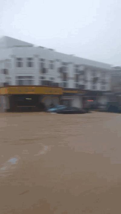 舟山一年四季天气变化,2017年舟山全年天气