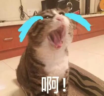 男朋友嫌弃我化妆品太贵了,男朋友觉得高级的化妆品