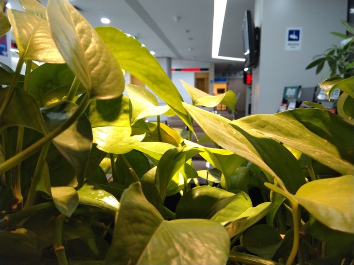 nokia6深度评测,nokiae66都有什么功能