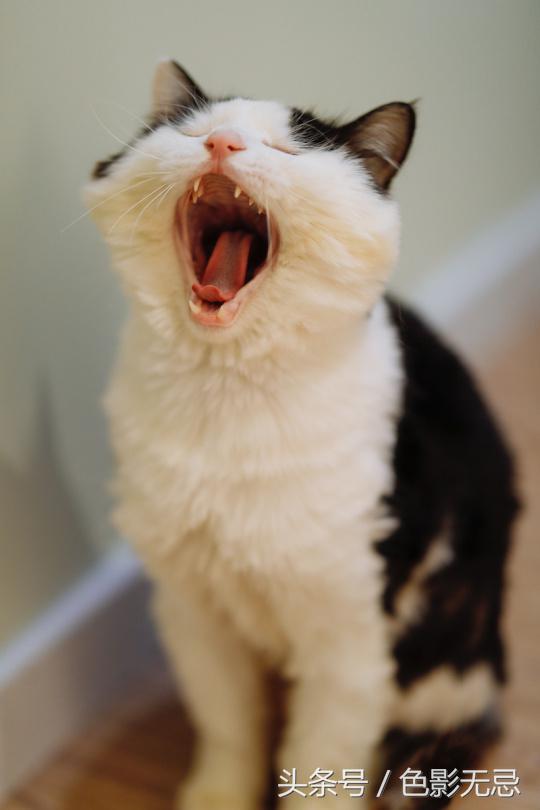 佳能85mmf1.4实图及报价,佳能85mmf1.8人像测评