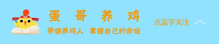 鸡舍塌,鸡舍塌了怎么救