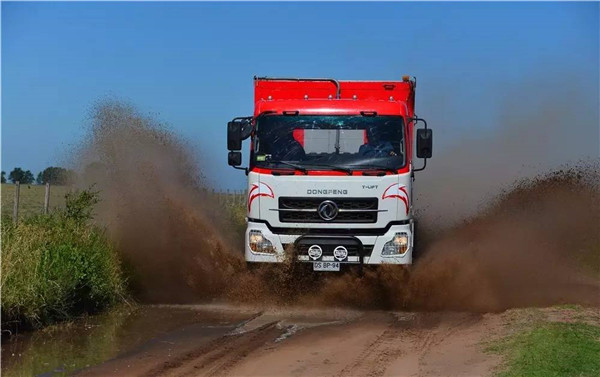 艰难的达喀尔拉力赛,达喀尔拉力赛凯旋