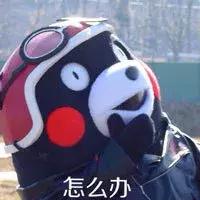 从香港寄快递回内地有什么靠谱又高效的选择？