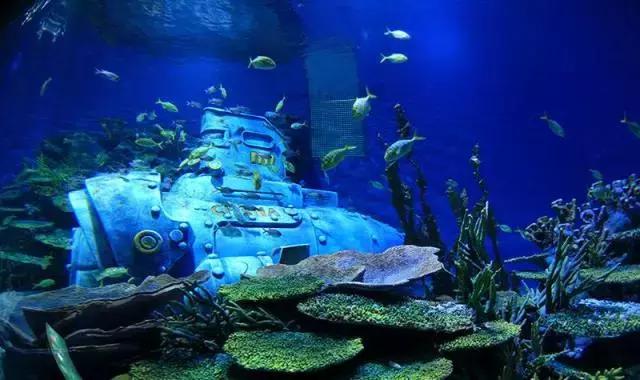 又一条高铁,太原青岛高铁