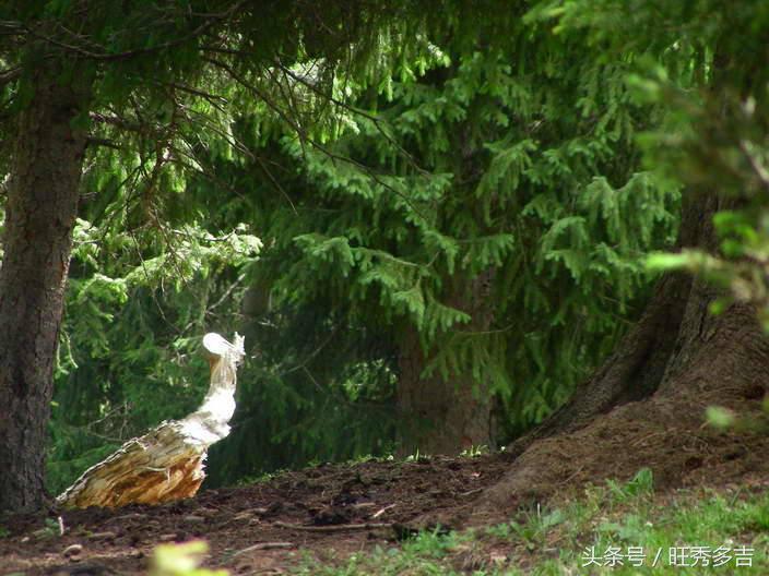 自驾徒步乌孙古道徒步路线图,徒步旅行日记