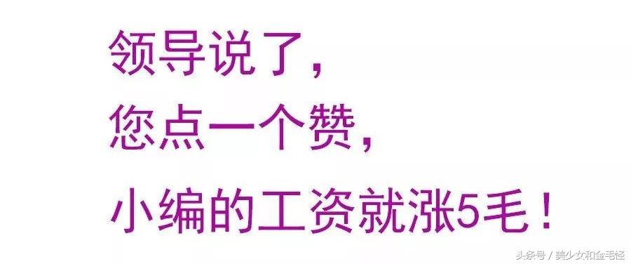 博美犬的正确护理方法,博美健康科普