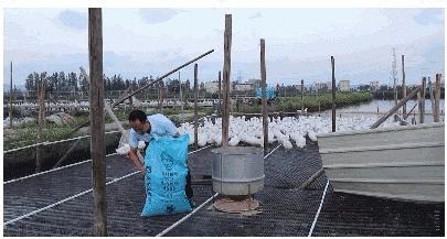 珠海吉大美食推荐,珠海吉大美食老字号