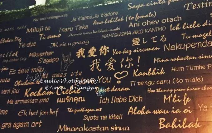 厦门旅游攻略厦门站到鼓浪屿,厦门鼓浪屿下雨有什么攻略