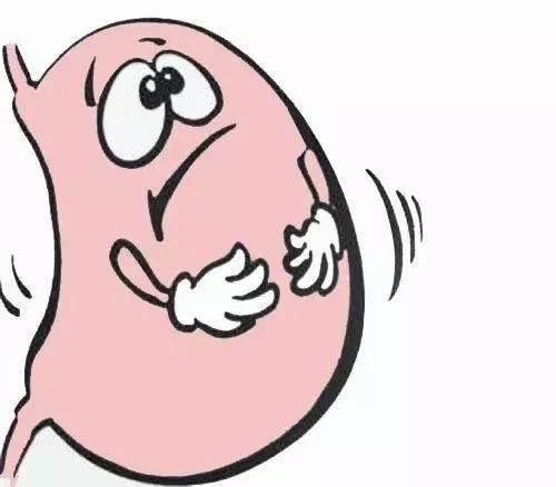 长期胃寒怎么通过食疗来治,胃寒怎么调理食谱