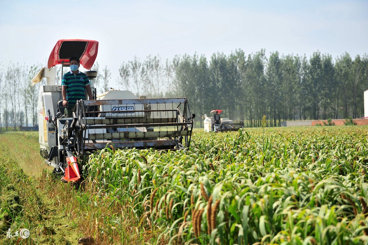 轻投资创业项目0-100万可做,轻创业项目100个