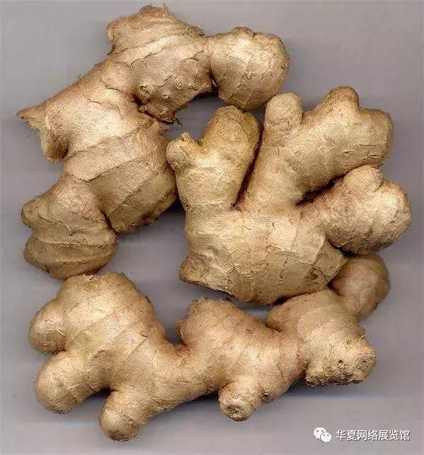 怀庆府四大特产为啥好,焦作怀庆府山药酒42度