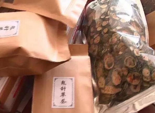 致富经美女野外生存,致富经农村姑娘22岁靠1500元起家