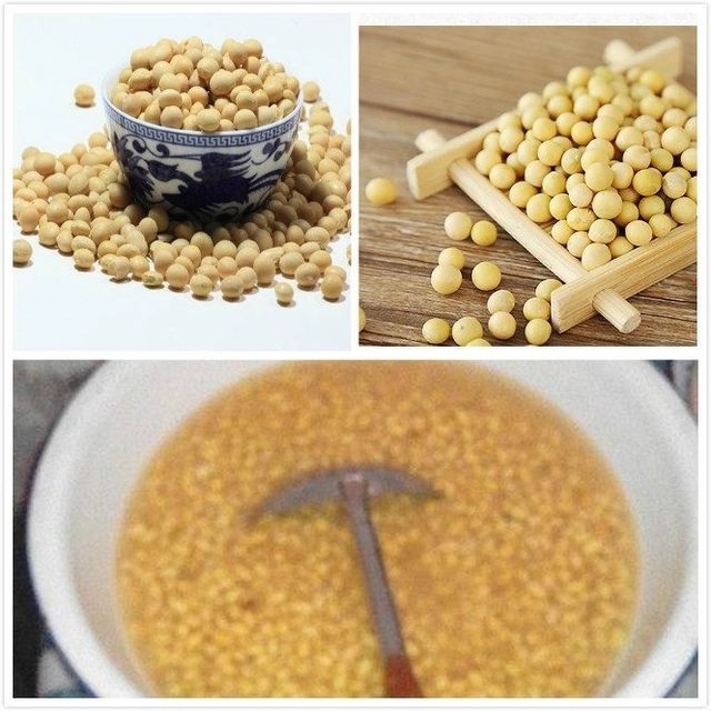 东北人怎样做大酱,东北农村怎么样做大酱