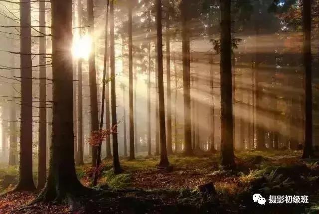 新手相机介绍攻略,新手入门相机的知识