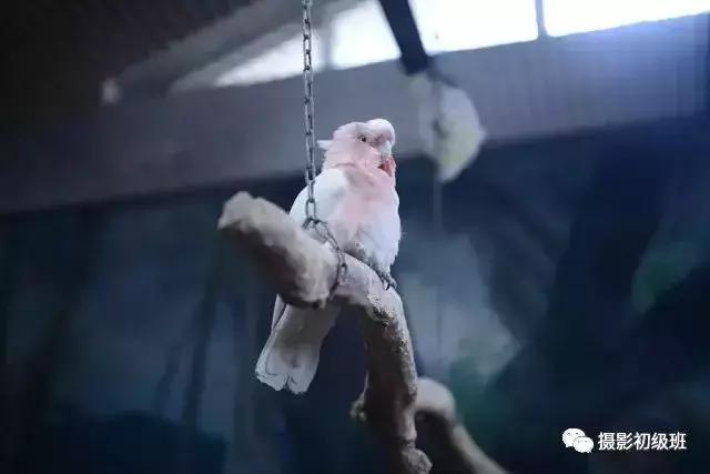 新手相机介绍攻略,新手入门相机的知识