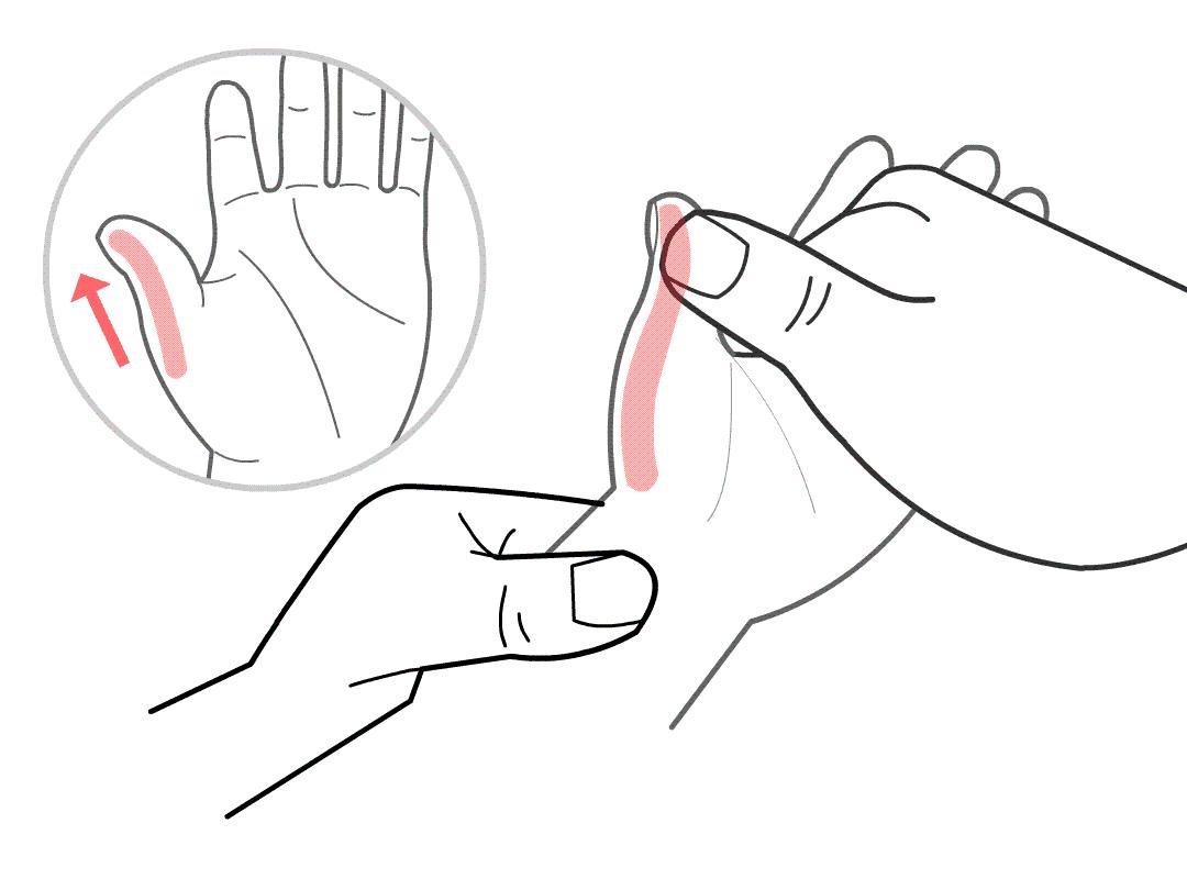 小儿湿热泄泻小儿推拿案例分析,肝胆湿热小儿推拿都用什么手法