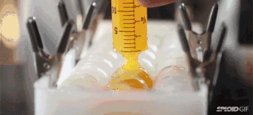 沈阳米其林餐厅推荐,沈阳米其林星级餐厅