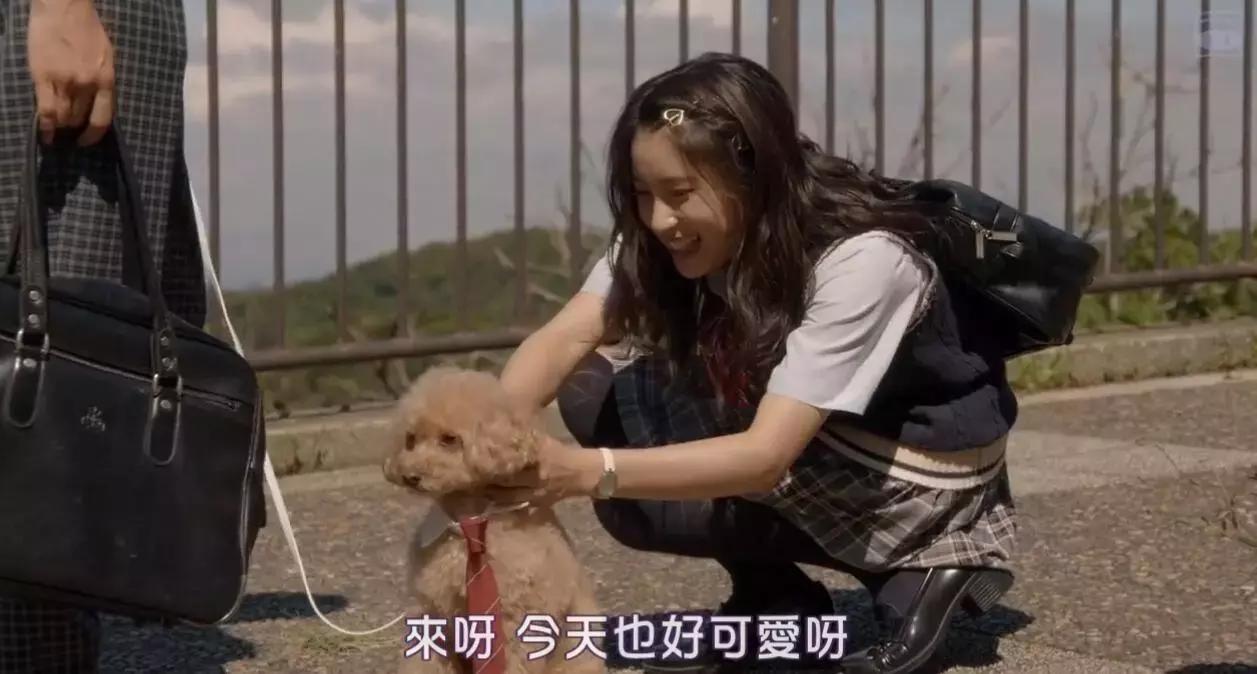 兄妹“禁忌”恋？哥哥太爱我了怎么办！