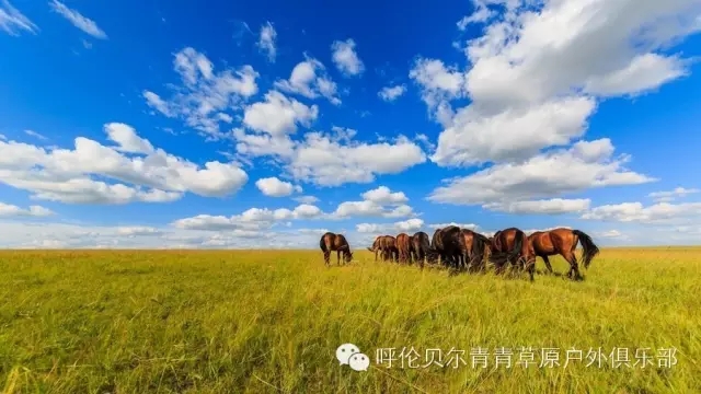 呼伦贝尔自由行攻略,呼伦贝尔自由行