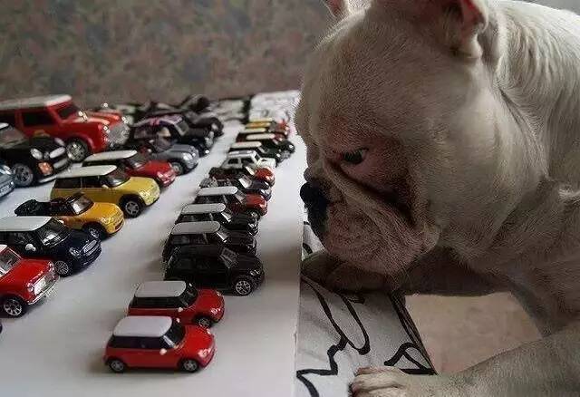 低钠低钾和血压有关系吗,低钠盐和钾有什么关系