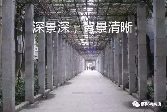 新手相机介绍攻略,新手入门相机的知识