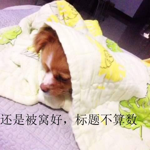 运动是抵御寒冷的最好方法,唯有运动御寒