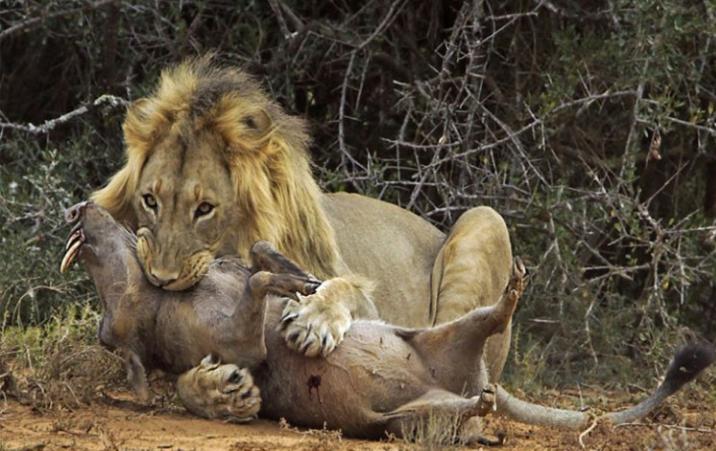 赚钱最多方法,赚钱最厉害的三个方法