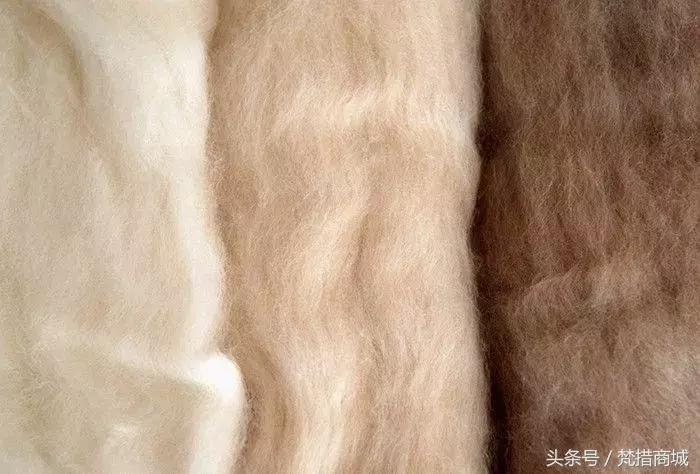 为什么羊绒衫很丑,为什么商场衣服越来越丑了