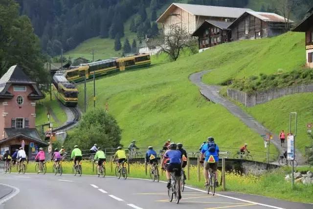 瑞士产柏高名表,瑞士柏高腕表