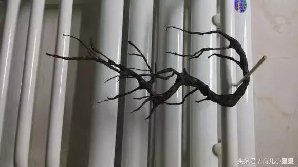 儿童梅花手工制作,儿童手工制作梅花