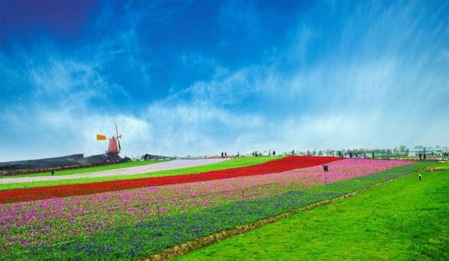 合肥高新区峰尚国际二手房,合肥高新区小区房价降落了吗