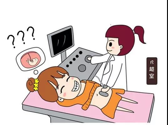 教你读懂产检b超单上英文缩写,如何看懂16周产检b超