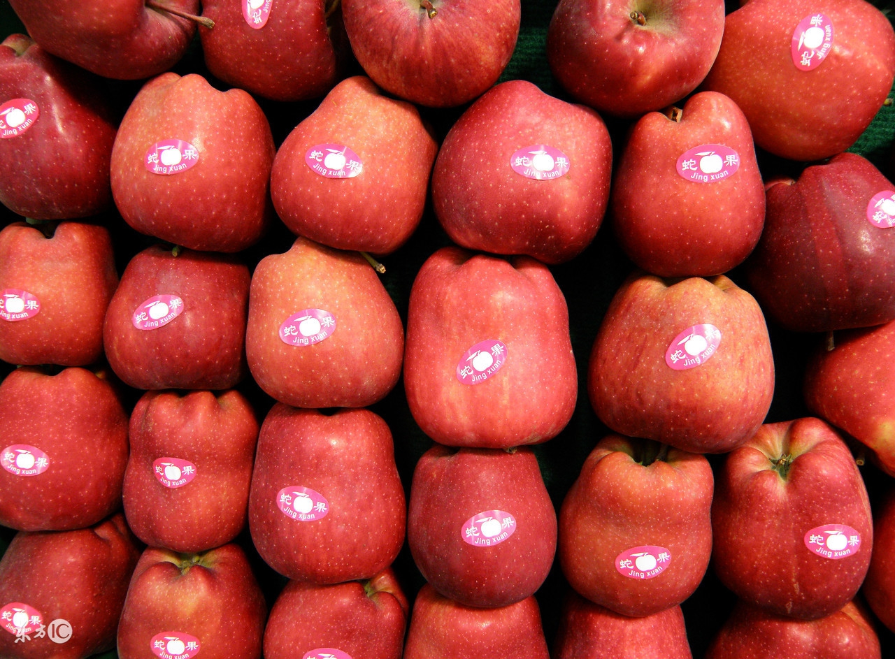 蛇果vs黑苹果,黑苹果以后会消失吗