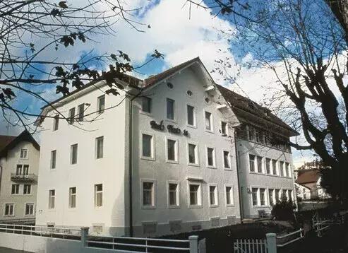 瑞士产柏高名表,瑞士柏高腕表