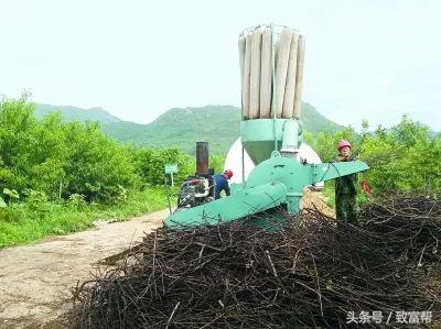 废弃果树怎么处理,废弃的树枝叶可回收吗